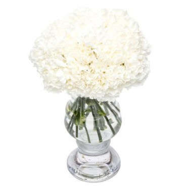 White Carnations for Home or Office